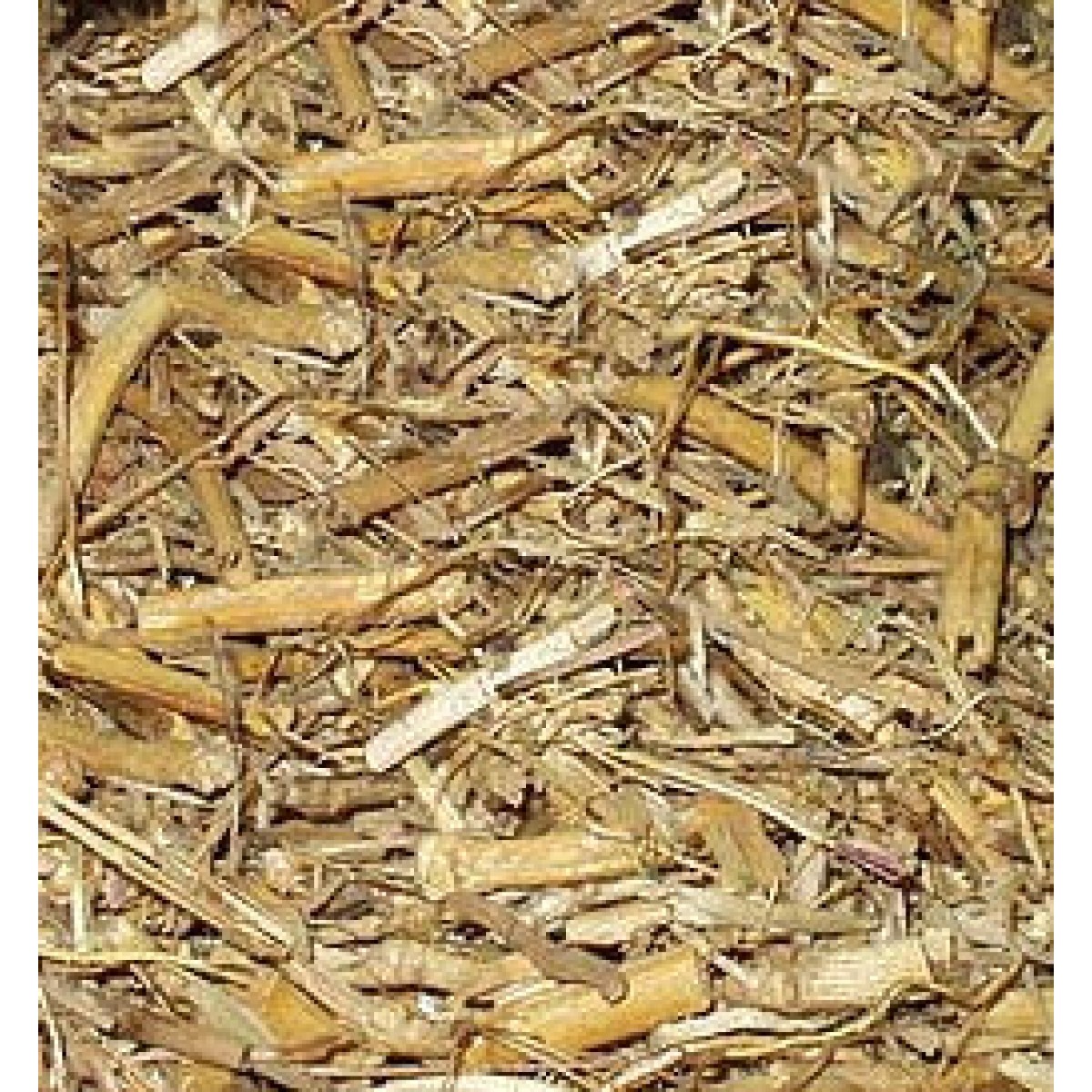 herb-witches-grass-12g