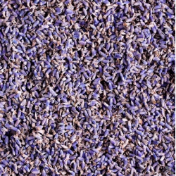 Herb Lavender 10g 