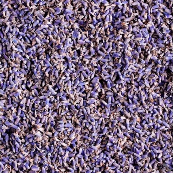 Herb Lavender 10g 