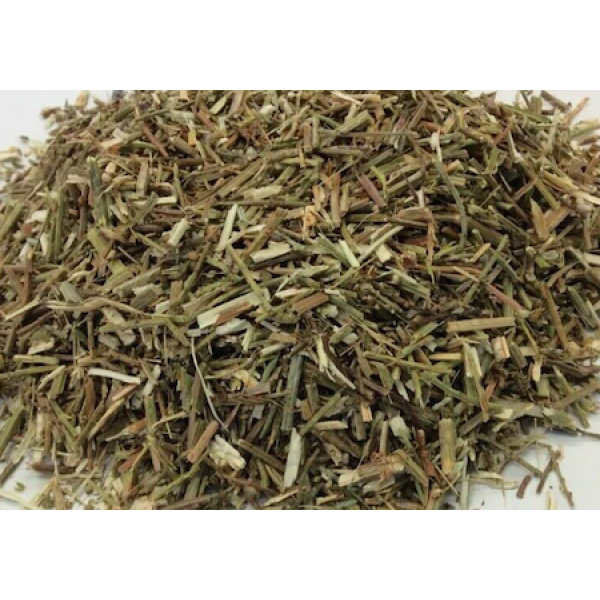 Herb Vervain 10g